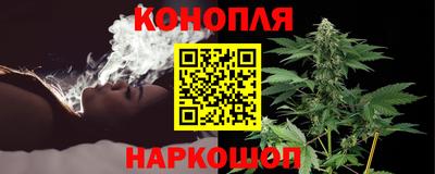 прущие грибы Мариинск