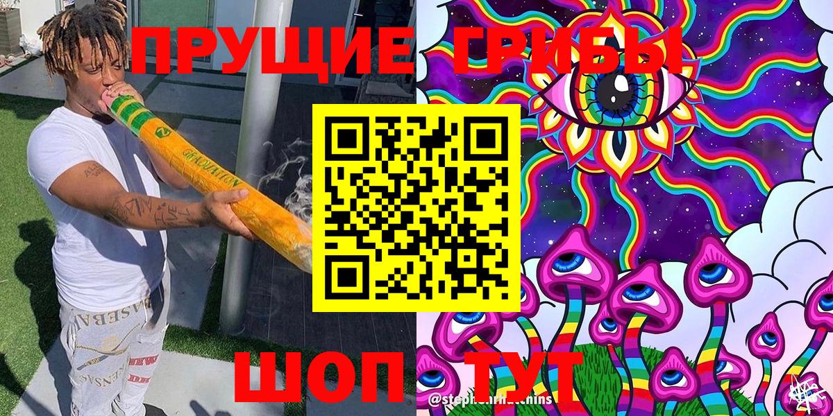 Галлюциногенные грибы Psilocybe Зеленодольск