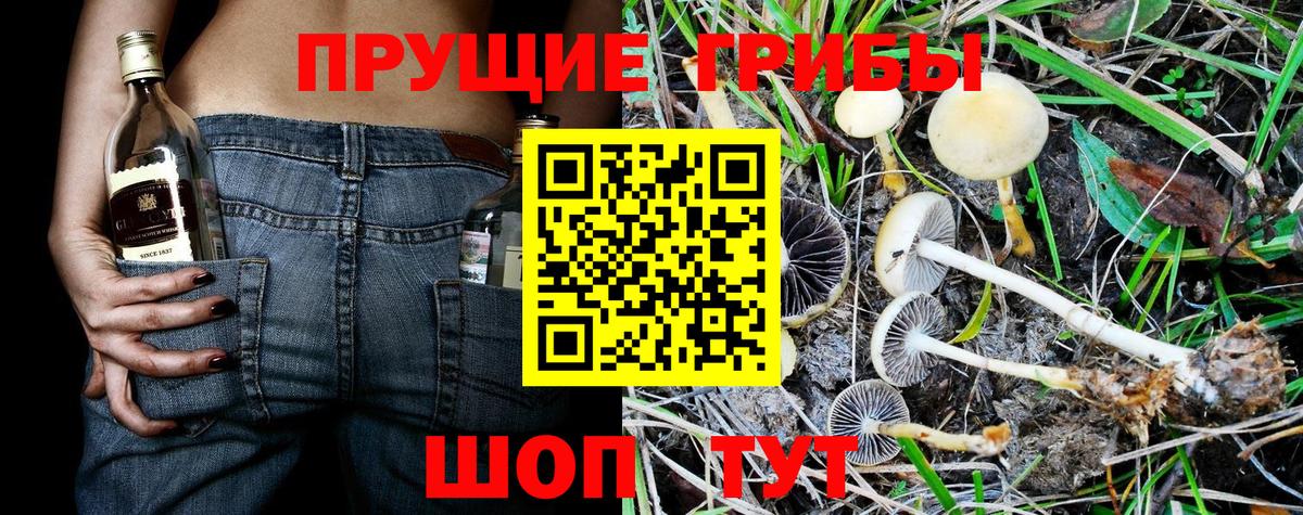 Зеленодольск  Галлюциногенные грибы мицелий  Вход с VPN  Псилоцибиновые грибы прущие грибы 